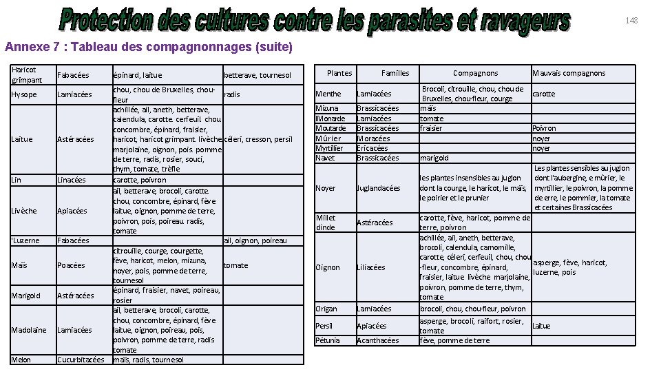 148 Annexe 7 : Tableau des compagnonnages (suite) Haricot grimpant Fabacées Hysope Lamiacées Laitue