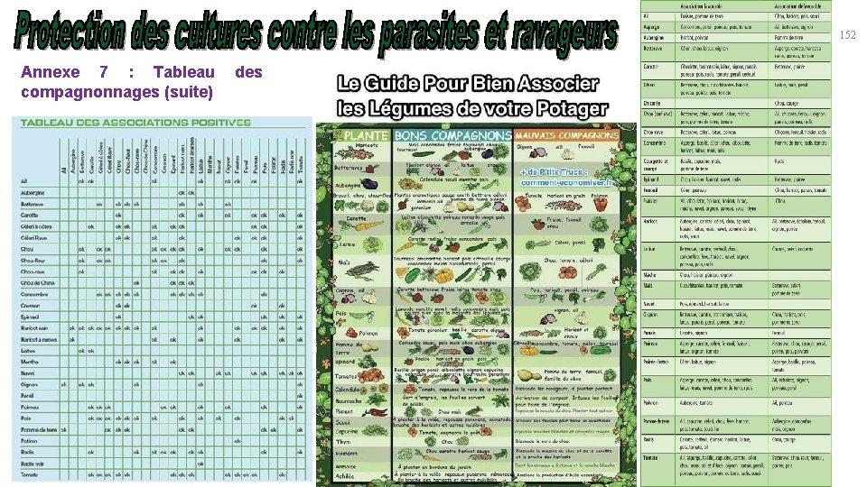 152 Annexe 7 : Tableau des compagnonnages (suite) 