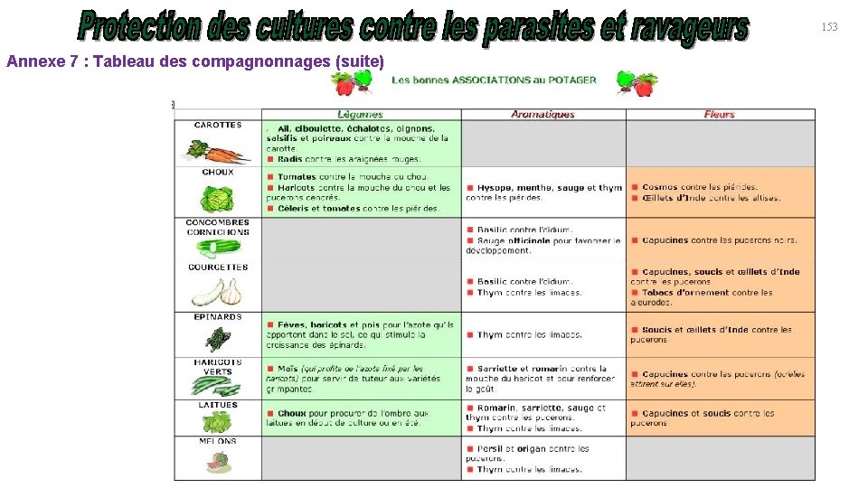 153 Annexe 7 : Tableau des compagnonnages (suite) 