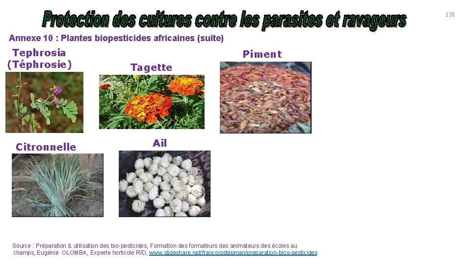 158 Annexe 10 : Plantes biopesticides africaines (suite) Tephrosia (Téphrosie) Citronnelle Piment Tagette Ail