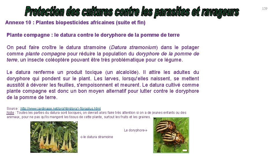 159 Annexe 10 : Plantes biopesticides africaines (suite et fin) Plante compagne : le