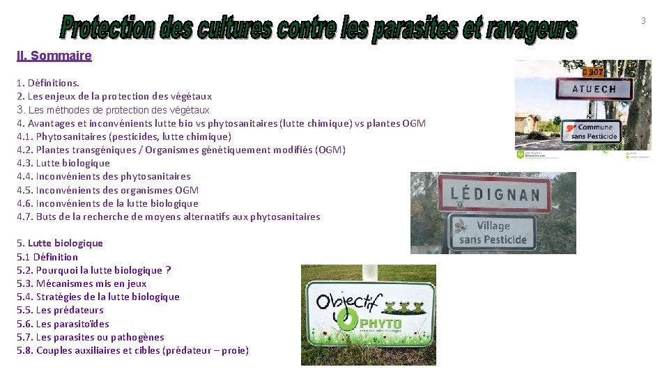 3 II. Sommaire 1. Définitions. 2. Les enjeux de la protection des végétaux 3.