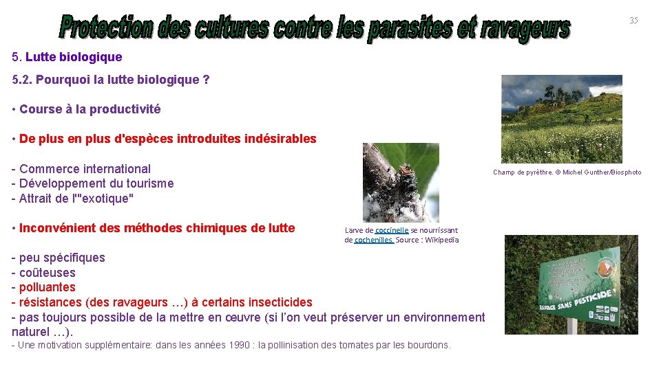 35 5. Lutte biologique 5. 2. Pourquoi la lutte biologique ? • Course à