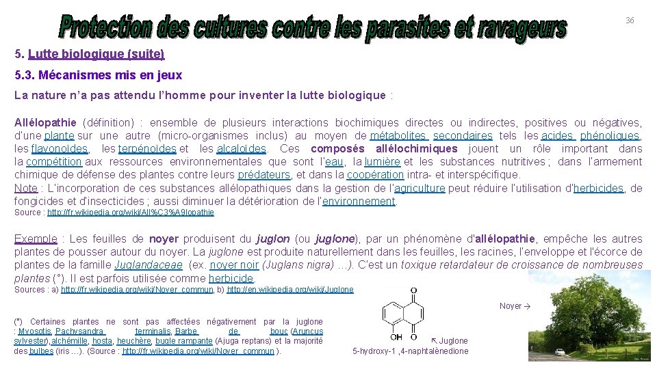 36 5. Lutte biologique (suite) 5. 3. Mécanismes mis en jeux La nature n’a