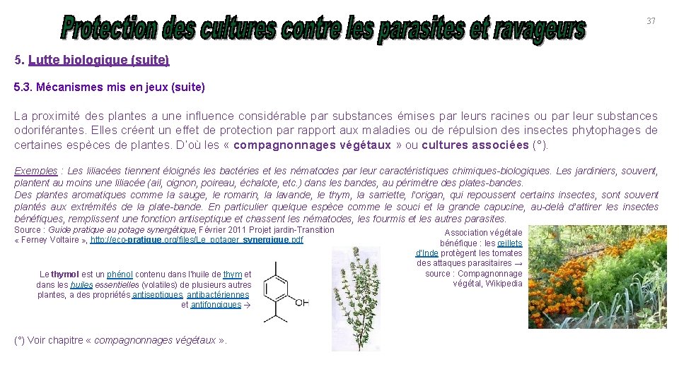 37 5. Lutte biologique (suite) 5. 3. Mécanismes mis en jeux (suite) La proximité