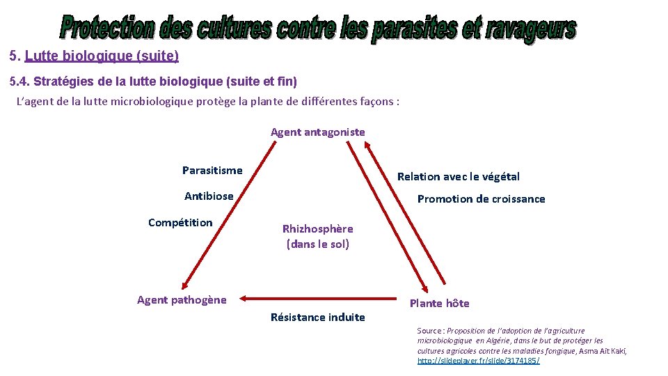 5. Lutte biologique (suite) 5. 4. Stratégies de la lutte biologique (suite et fin)