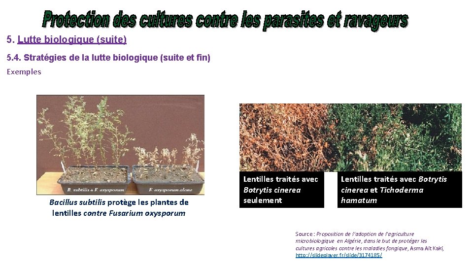 5. Lutte biologique (suite) 5. 4. Stratégies de la lutte biologique (suite et fin)