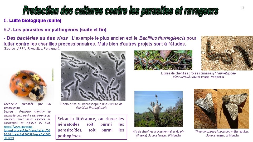 55 5. Lutte biologique (suite) 5. 7. Les parasites ou pathogènes (suite et fin)