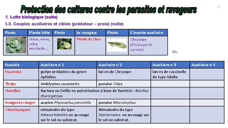 57 5. Lutte biologique (suite) 5. 8. Couples auxiliaires et cibles (prédateur – proie)