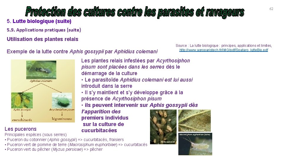 62 5. Lutte biologique (suite) 5. 9. Applications pratiques (suite) Utilisation des plantes relais