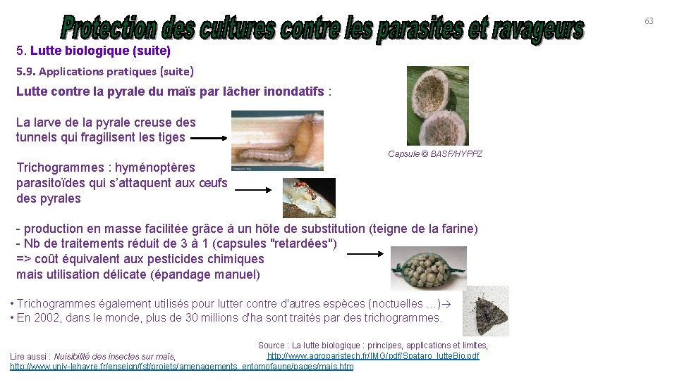 63 5. Lutte biologique (suite) 5. 9. Applications pratiques (suite) Lutte contre la pyrale