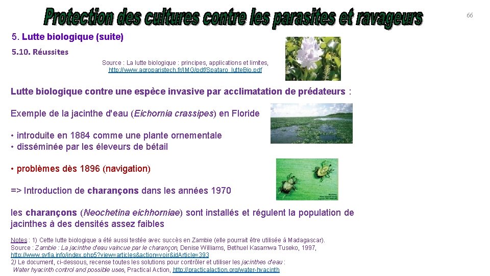 66 5. Lutte biologique (suite) 5. 10. Réussites Source : La lutte biologique :