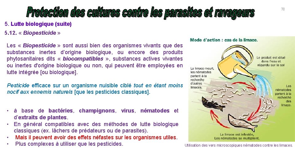 78 5. Lutte biologique (suite) 5. 12. « Biopesticide » Les « Biopesticide »