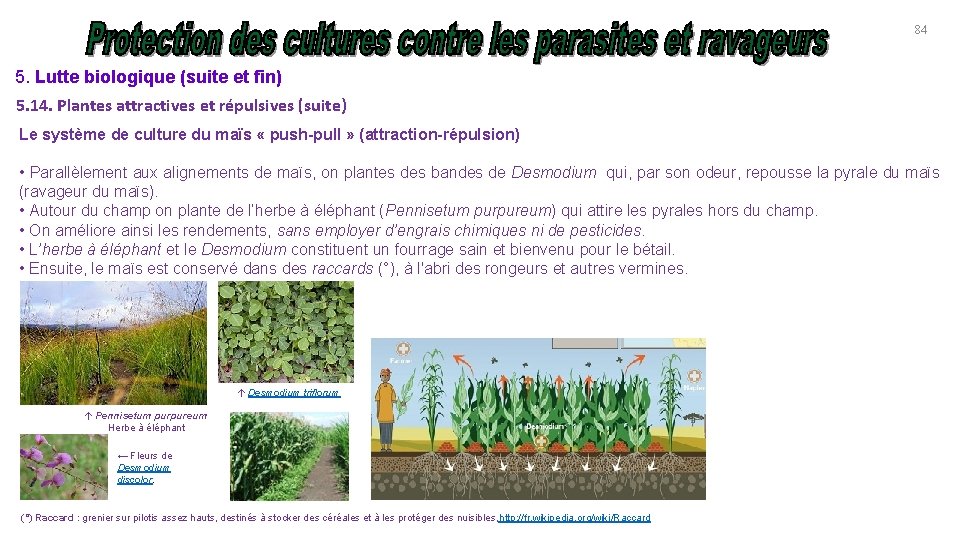 84 5. Lutte biologique (suite et fin) 5. 14. Plantes attractives et répulsives (suite)