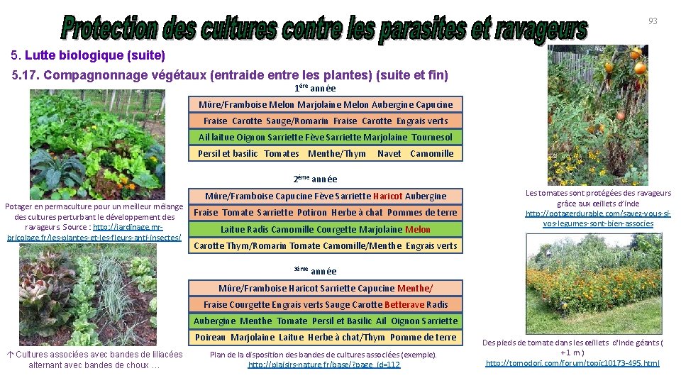 93 5. Lutte biologique (suite) 5. 17. Compagnonnage végétaux (entraide entre les plantes) (suite