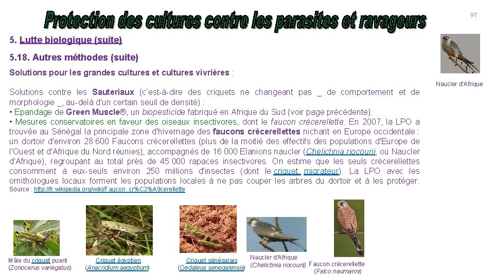 97 5. Lutte biologique (suite) 5. 18. Autres méthodes (suite) Solutions pour les grandes