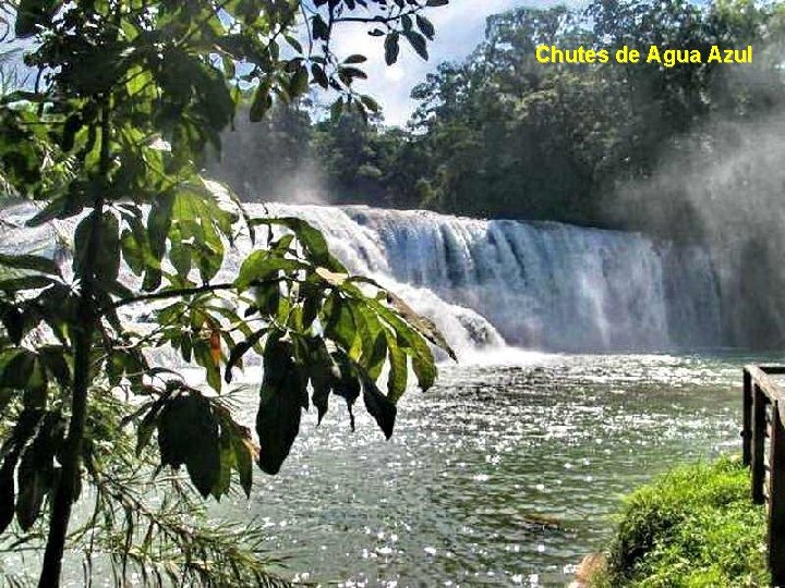 Chutes de Agua Azul 