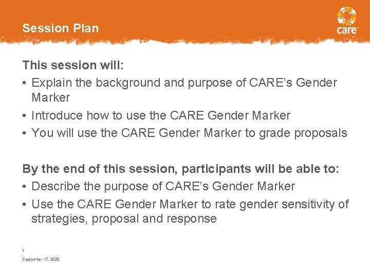 Session Plan This session will: • Explain the background and purpose of CARE’s Gender