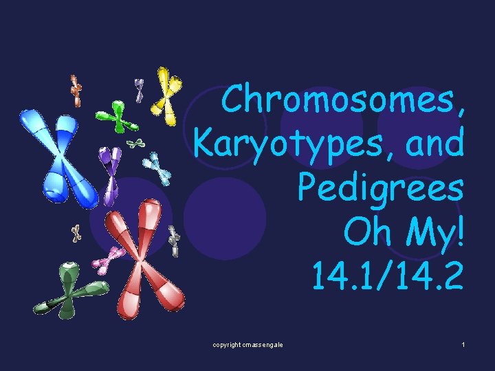 Chromosomes, Karyotypes, and Pedigrees Oh My! 14. 1/14. 2 copyright cmassengale 1 