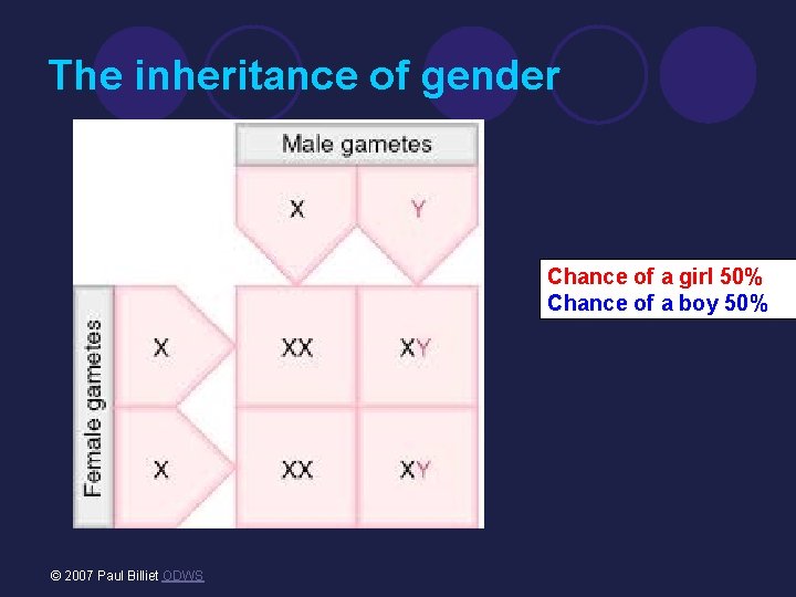 The inheritance of gender Chance of a girl 50% Chance of a boy 50%