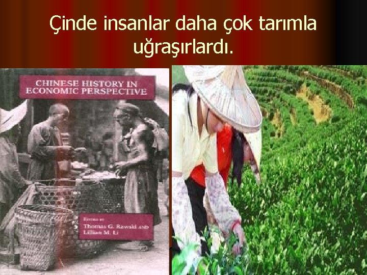 Çinde insanlar daha çok tarımla uğraşırlardı. 