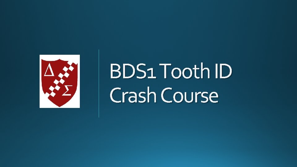 BDS 1 Tooth ID Crash Course 