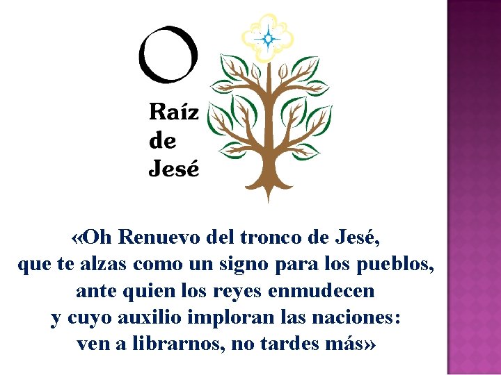  «Oh Renuevo del tronco de Jesé, que te alzas como un signo para