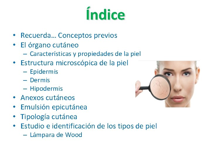 Índice • Recuerda… Conceptos previos • El órgano cutáneo – Características y propiedades de