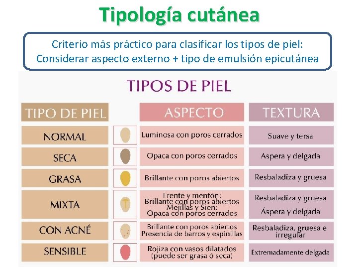 Tipología cutánea Criterio más práctico para clasificar los tipos de piel: Considerar aspecto externo