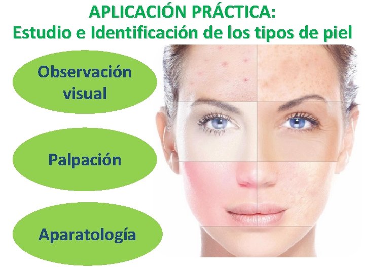 APLICACIÓN PRÁCTICA: Estudio e Identificación de los tipos de piel Observación visual Palpación Aparatología