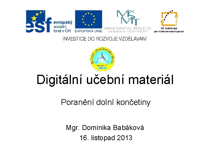 Digitální učební materiál Poranění dolní končetiny Mgr. Dominika Babáková 16. listopad 2013 