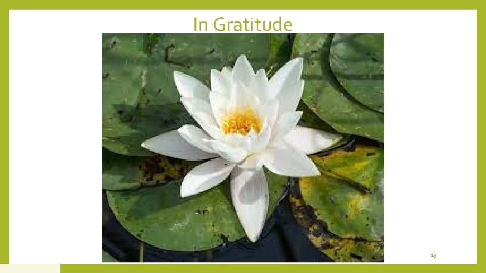 In Gratitude 13 In Gratitude 13