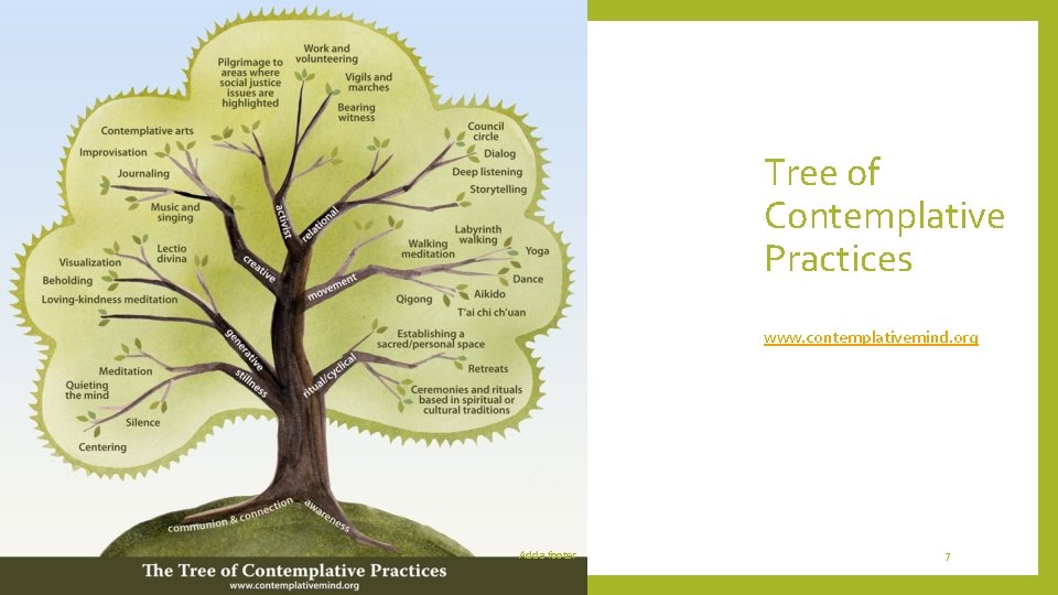 Tree of Contemplative Practices www. contemplativemind. org Add a footer 7 Tree of Contemplative Practices www. contemplativemind. org Add a footer 7