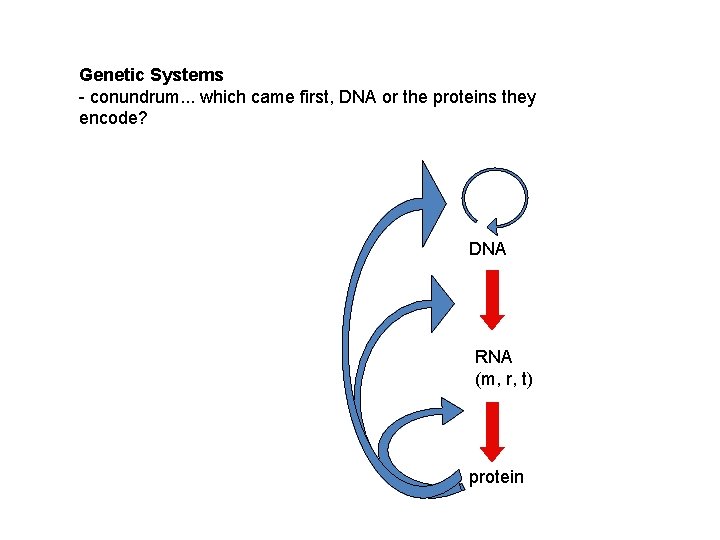 Genetic Systems - conundrum. . . which came first, DNA or the proteins they