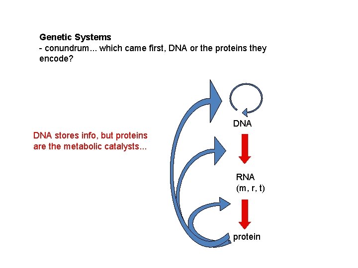 Genetic Systems - conundrum. . . which came first, DNA or the proteins they