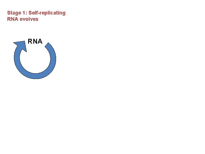 Stage 1: Self-replicating RNA evolves RNA 