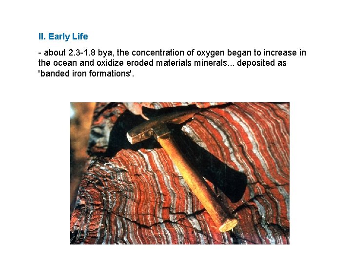 II. Early Life - about 2. 3 -1. 8 bya, the concentration of oxygen