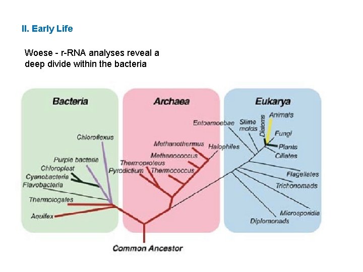 II. Early Life Woese - r-RNA analyses reveal a deep divide within the bacteria