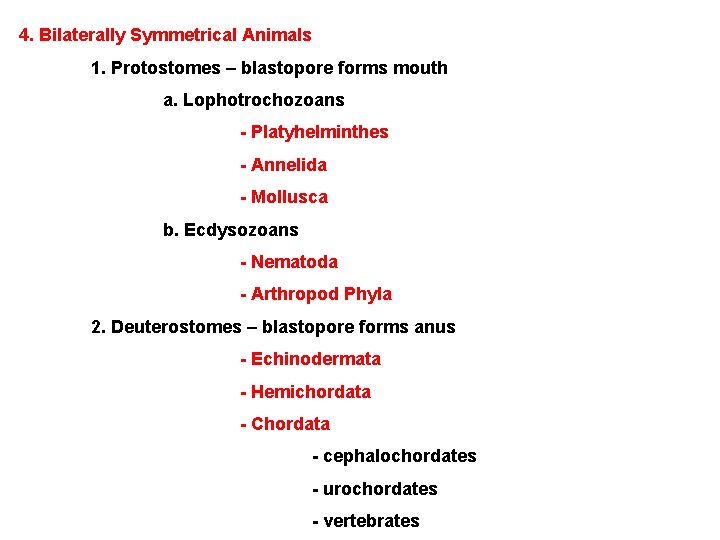 4. Bilaterally Symmetrical Animals 1. Protostomes – blastopore forms mouth a. Lophotrochozoans - Platyhelminthes