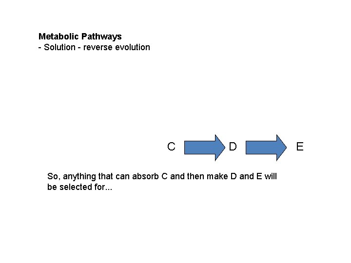 Metabolic Pathways - Solution - reverse evolution C D So, anything that can absorb