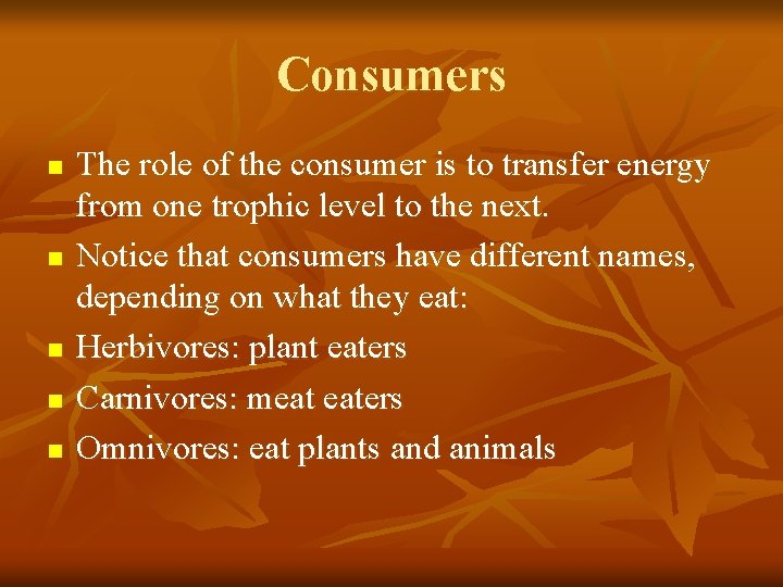 Consumers n n n The role of the consumer is to transfer energy from