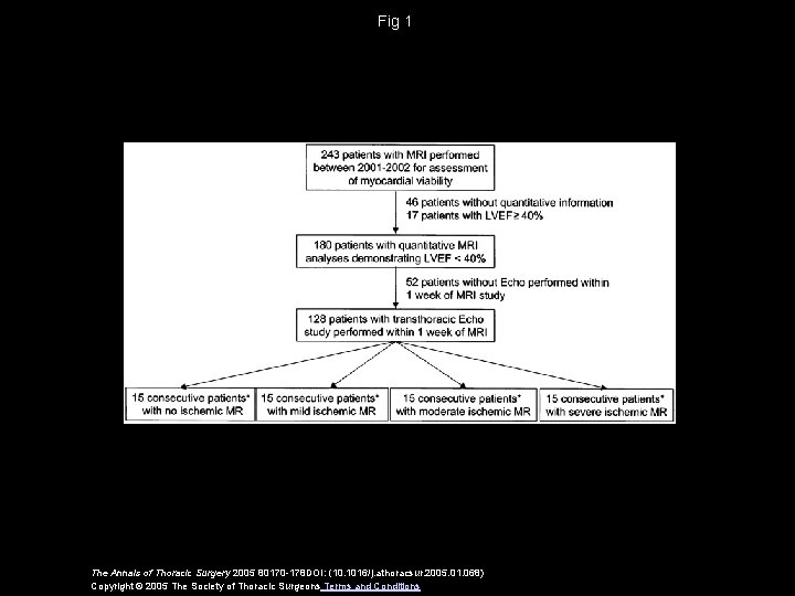 Fig 1 The Annals of Thoracic Surgery 2005 80170 -178 DOI: (10. 1016/j. athoracsur.