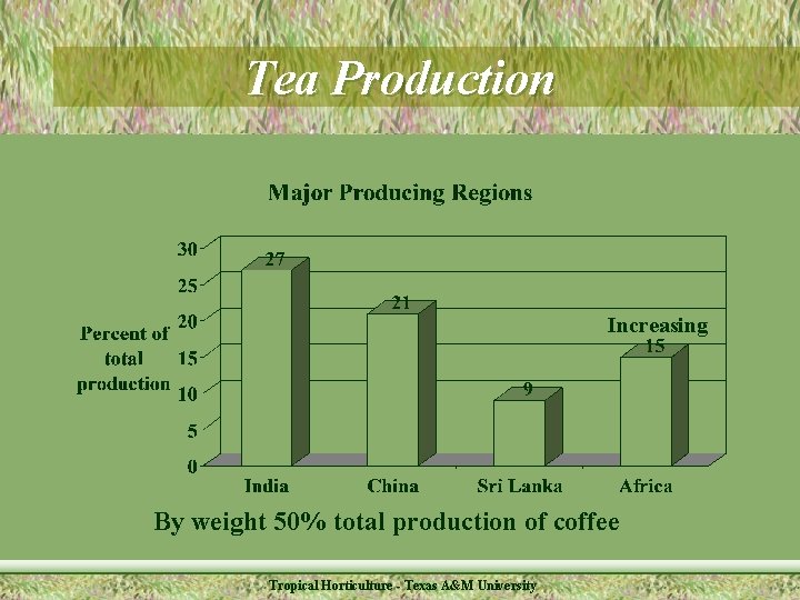 Tea Production Increasing By weight 50% total production of coffee Tropical Horticulture - Texas