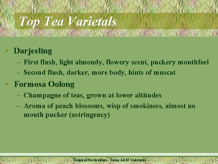 Top Tea Varietals • Darjeeling – First flush, light almondy, flowery scent, puckery mouthfeel