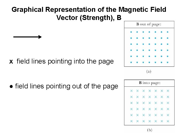 Graphical Representation of the Magnetic Field Vector (Strength), B x field lines pointing into