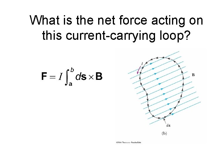 What is the net force acting on this current-carrying loop? 