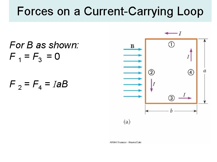 Forces on a Current-Carrying Loop For B as shown: F 1 = F 3