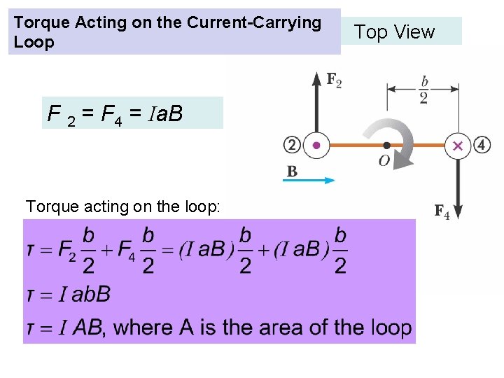 Torque Acting on the Current-Carrying Loop F 2 = F 4 = Ia. B