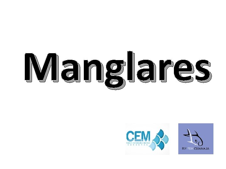 Manglares 