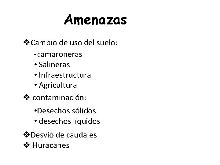 Amenazas v. Cambio de uso del suelo: • Camaroneras • Salineras • Infraestructura •